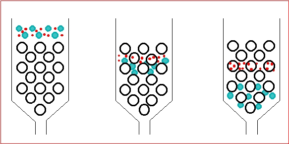 <p>separates proteins by size. Beads have pores, and small molecules get trapped in pores (move slower). Large molecules can’t enter pores (move faster)</p>