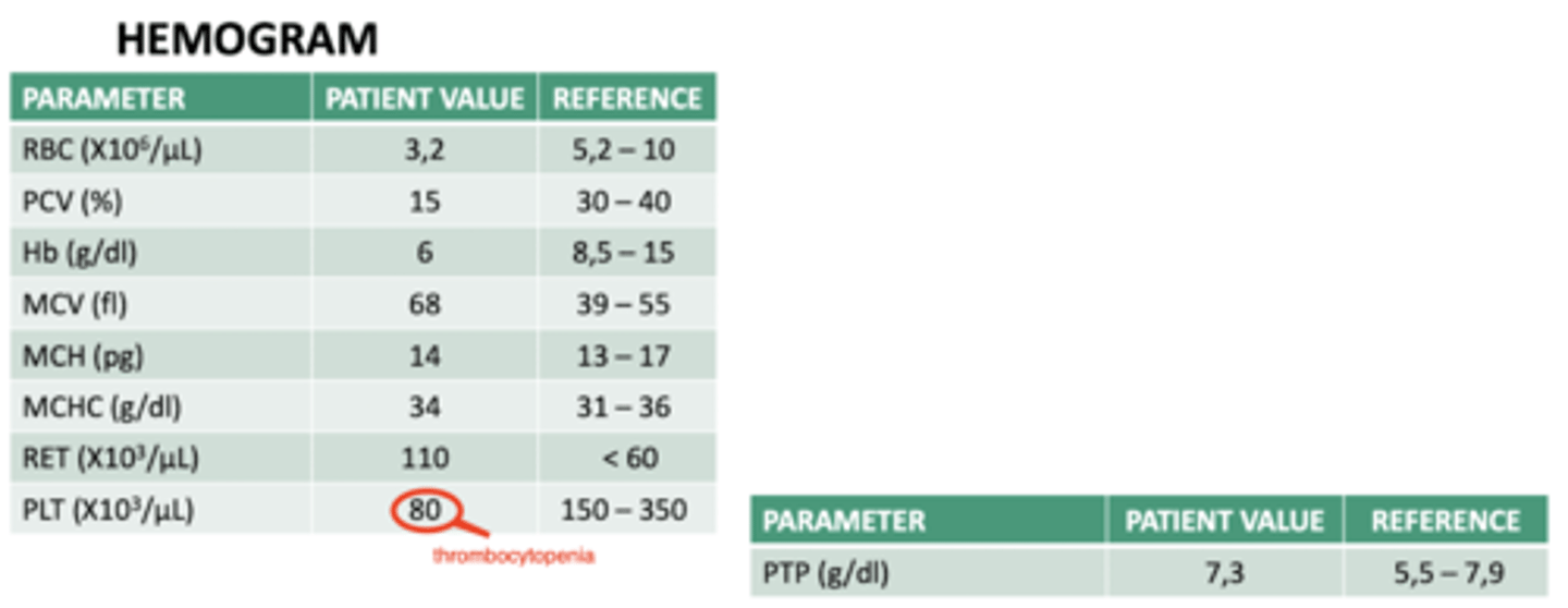 <p>interpretar esta hemograma:</p>