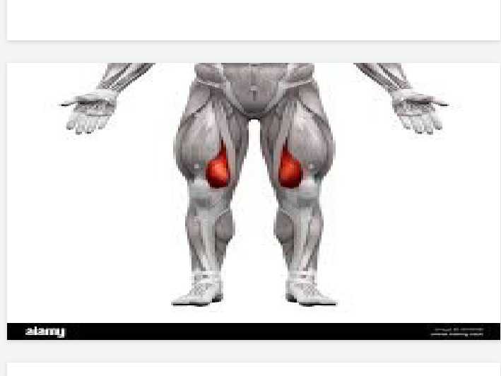 <p>Lower body</p>