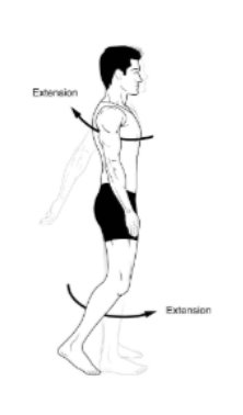 <p>Extension</p>