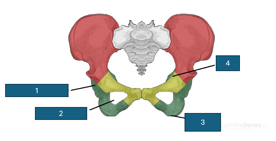 <p>1</p>