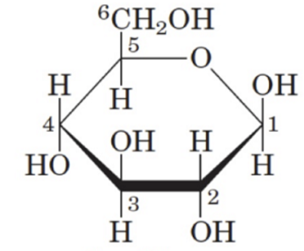 <p>What is the name of this structure?</p>