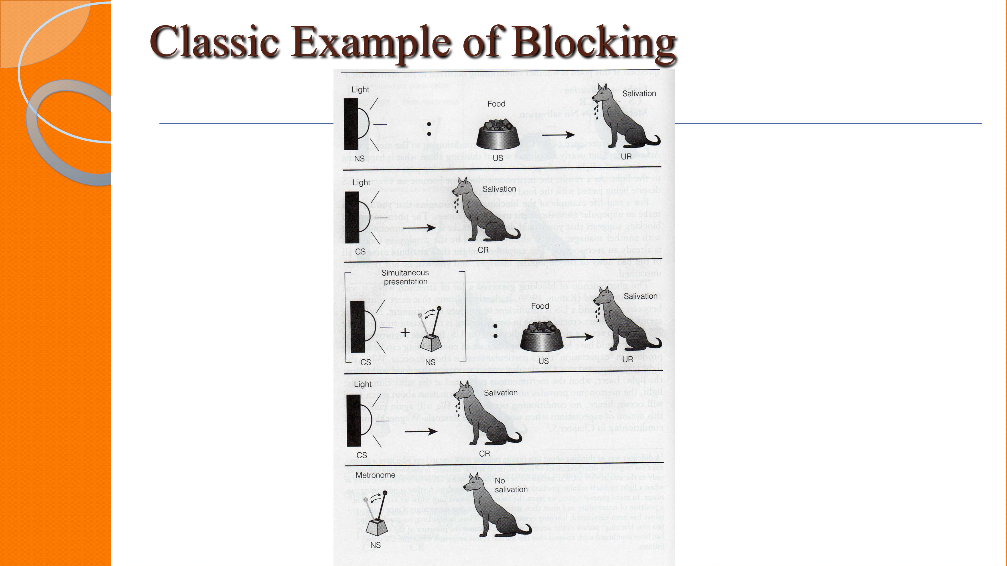 <p>blocking shows that prior learning can prevent new learning when the outcome is already predicted</p><p>Procedure:</p><ul><li><p>initial conditioning: NS (ie. tone) is paired with a US (ie. food) until it elicits a R (ie. salivation)</p></li><li><p>compound conditioning: a new S (ie. light) is paired with the original S (tone)</p></li><li><p>test: the new S (light) is presented alone</p></li></ul><p>Effect:</p><p>the light fails to elicit salivating because food was already paired with the tone </p>
