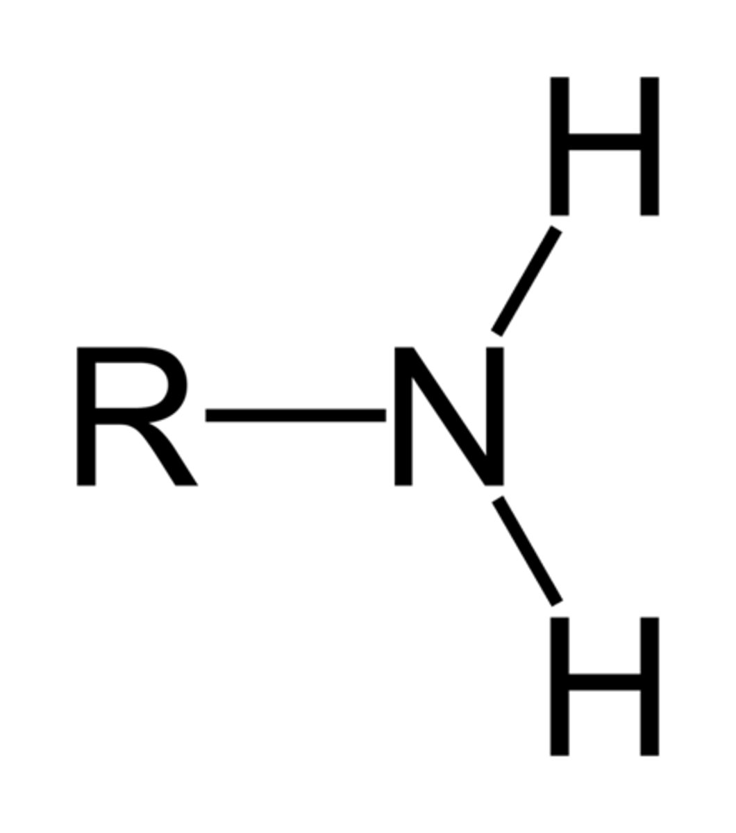 <p>Functional group -NH₂ attached to a carbon; derived from ammonia (NH₃).</p>
