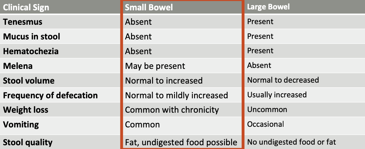 <p>small bowel:</p><p>-tenesmus, mucus, and hematochezia are absent in small bowel diarrhea</p><p>-melena may be present</p><p>-normal to <strong>increased </strong>stool volume</p><p>-frequency of defecation is <strong>normal </strong>to <strong>mildly increased</strong></p><p>-weight loss is common with chronicity</p><p>-vomiting is common</p><p>-stool quality: <strong>fat, undigested food possible</strong></p>