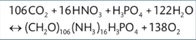 <p>In the euphotic zones of the oceans, changes in concentrations of dissolved oxygen depends on ________ .</p>