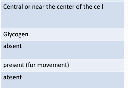 <p>what cell is this?</p>