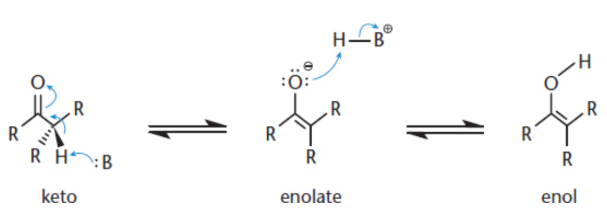 <p>positive polarity due to the electronegativity of the oxygen</p><p>the α-hydrogens are much more acidic than in a regular C−H bond due to the resonance stabilization of the enol form</p><p>enolate then becomes a strong nucleophile, and alkylation can result if good electrophiles are available</p>