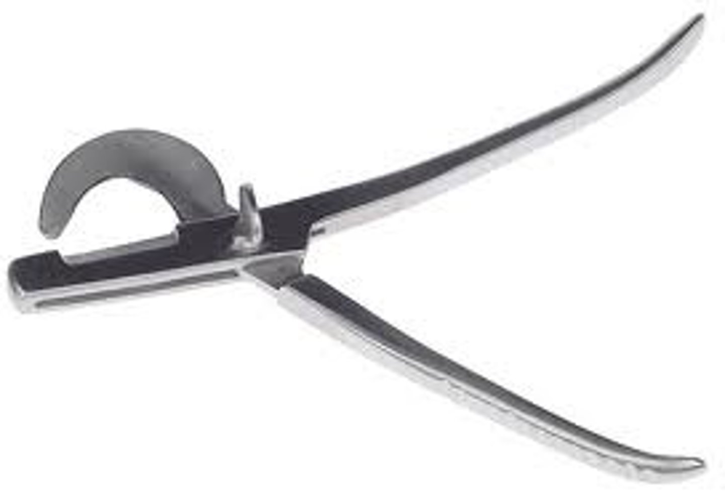 <p>used for castration, removing testicles</p>