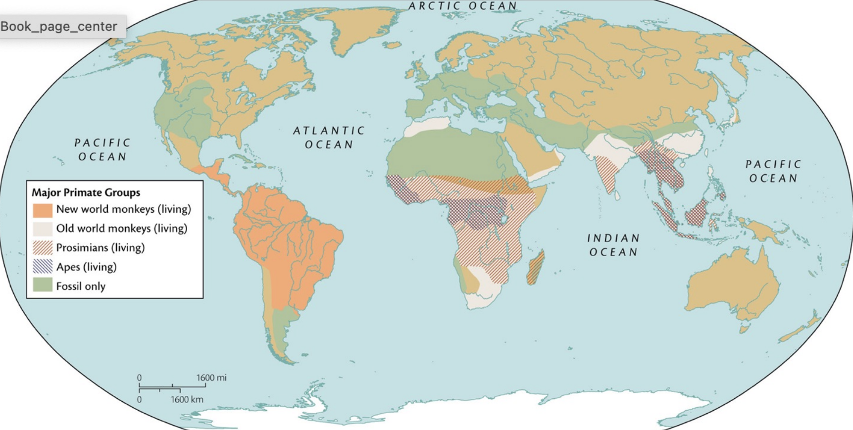 <p>mostly tropical/subtropical (Africa, Asia, Central and South America)</p>