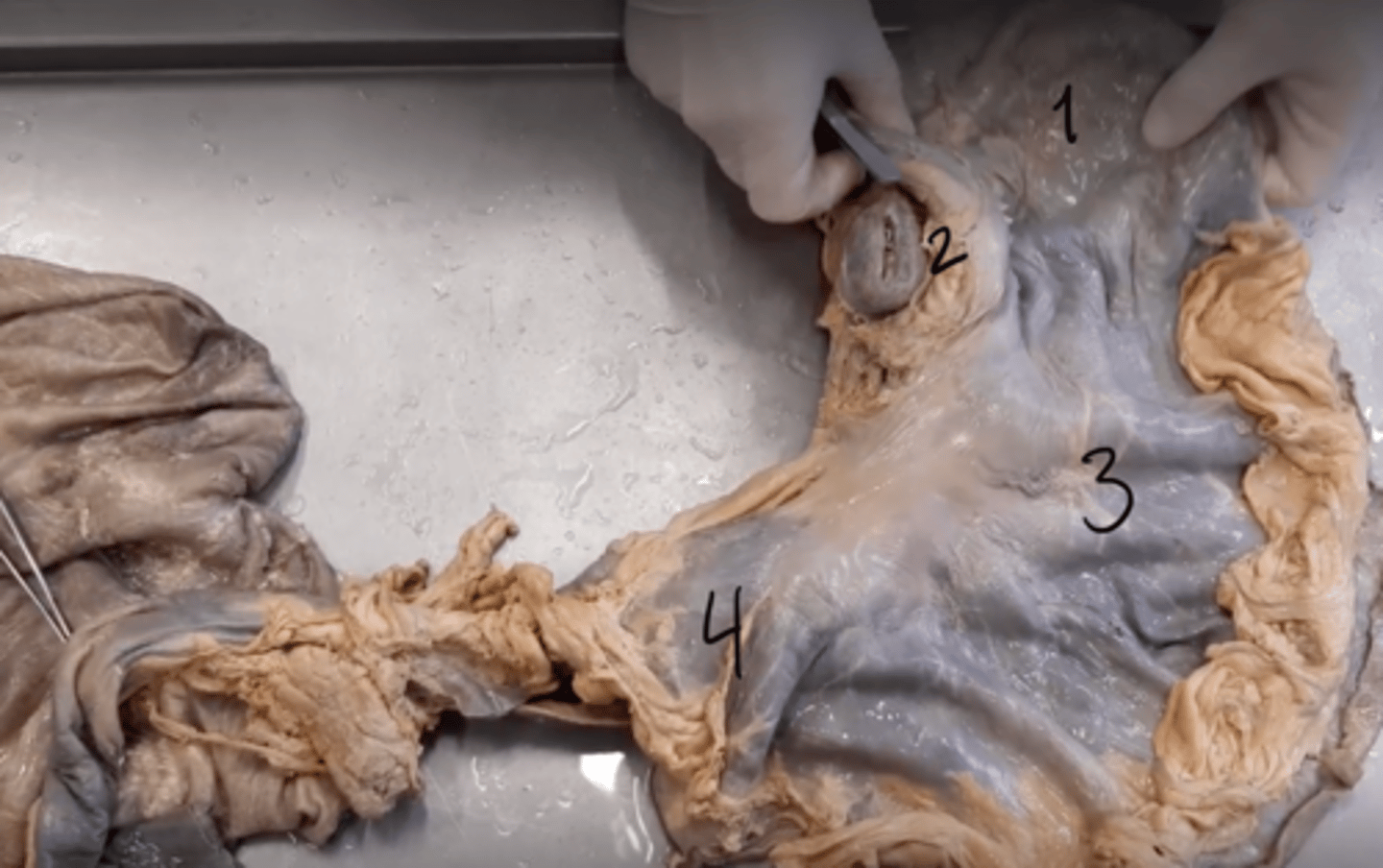 <p>1</p>