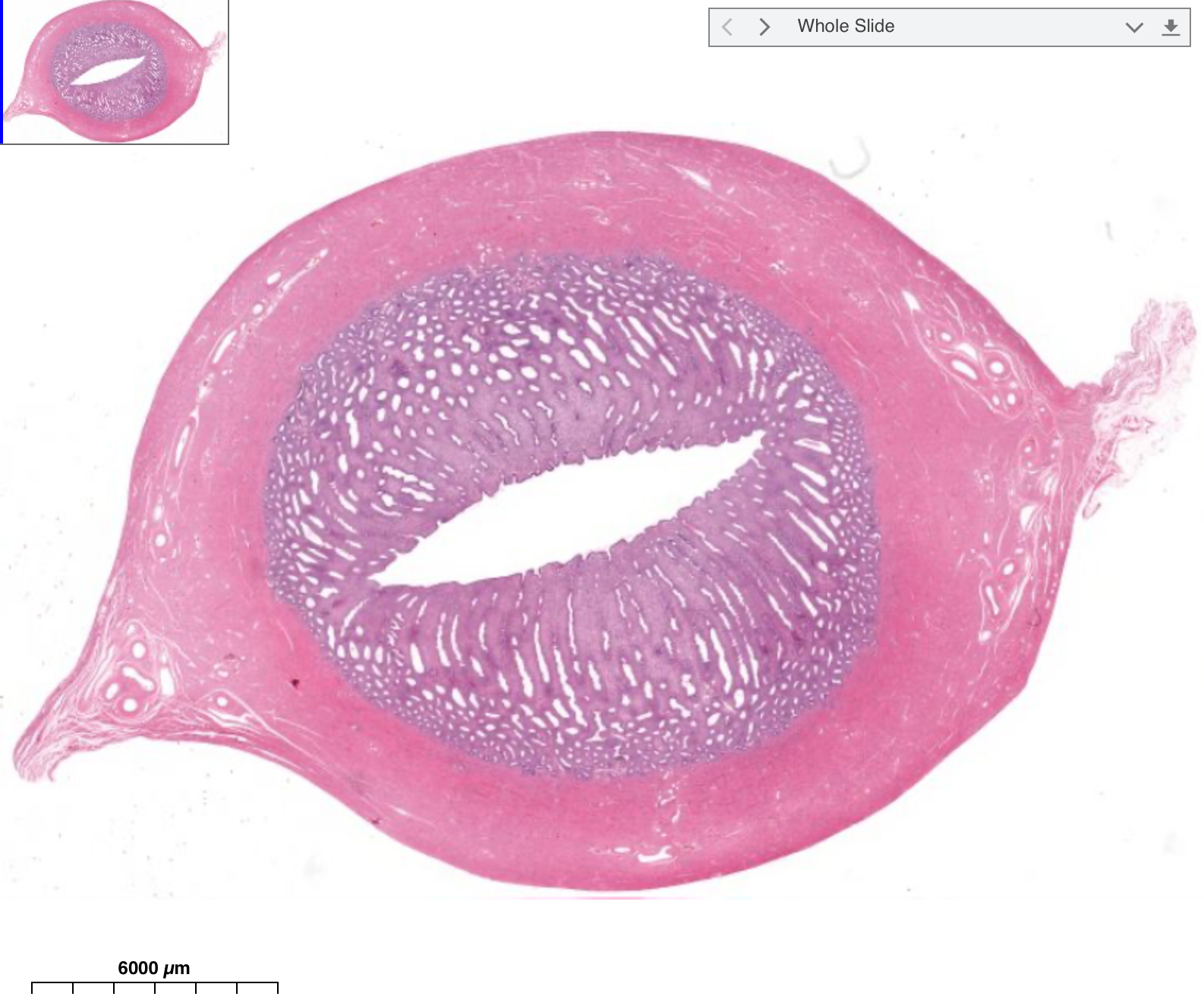 <p>What is this?</p>