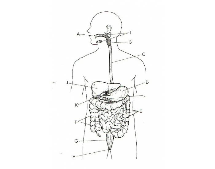 <p>What is A?</p>