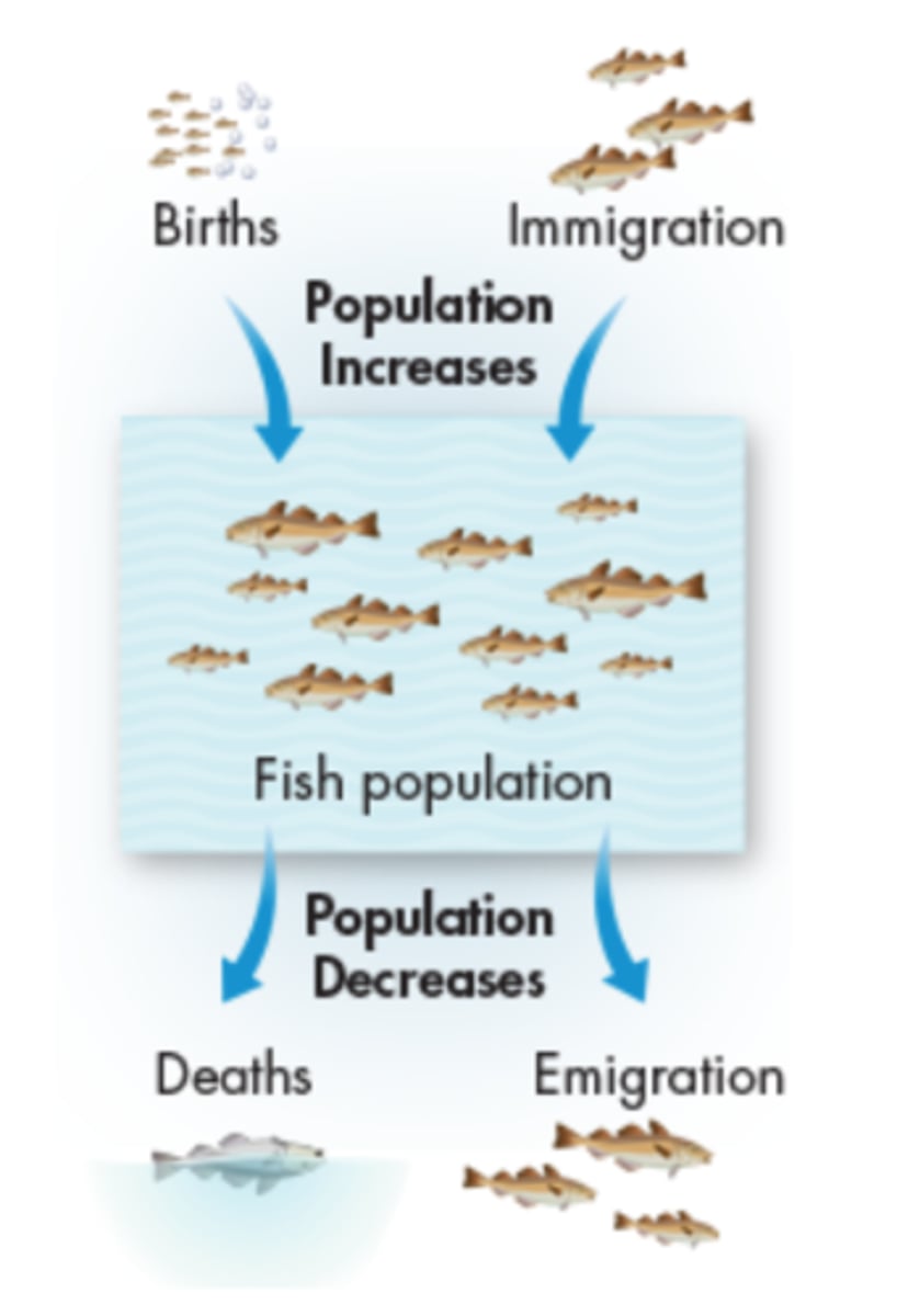<p>* The number of births</p><p>* The number of deaths</p><p>* The rate at which individuals enter (immigration) or leave</p><p>(emigration) the population</p>