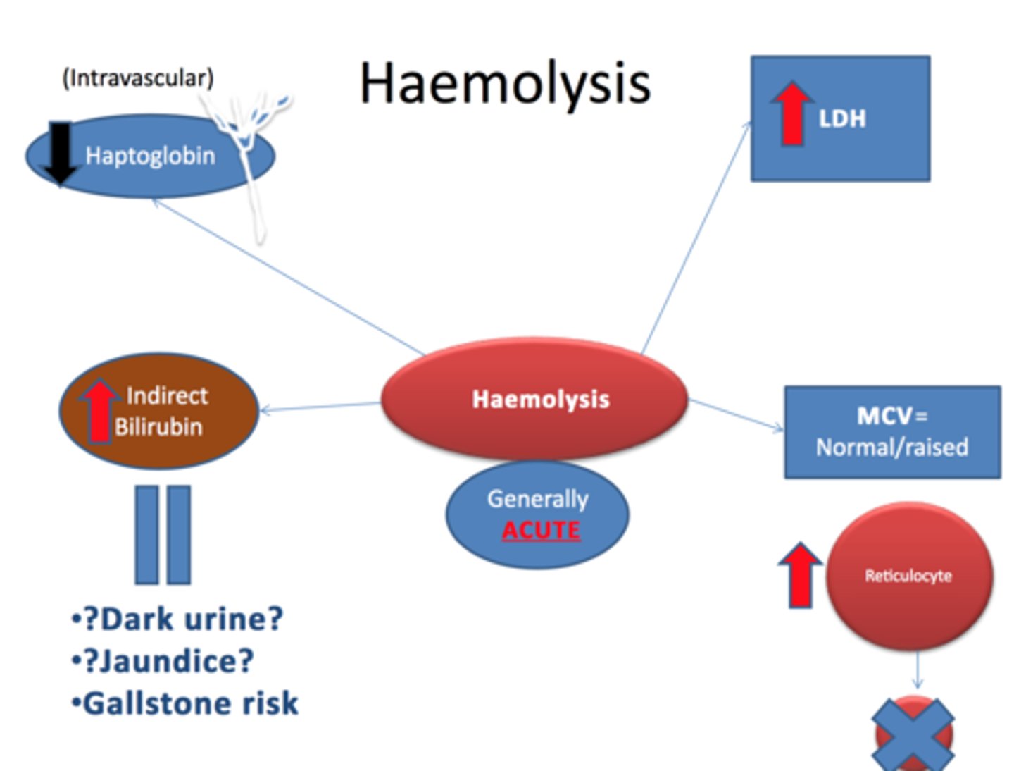 <p>Intravascular hemolytic anemia</p><p>- mechanical trauma from calcified aortic valves (microvascular traumatic hemolysis)</p><p>- helmet cells, fragmented RBC</p>
