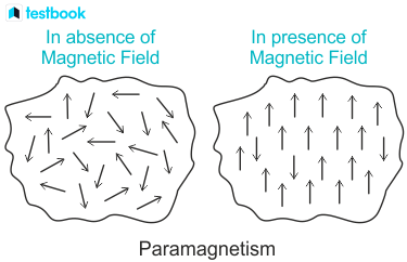 <p>Paramagnetism</p>