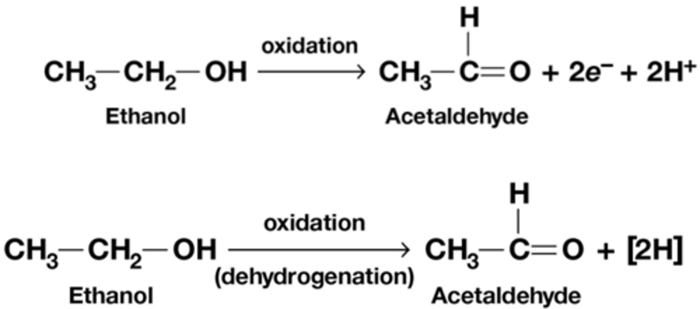 <p>In biologische chemie worden meestal niet alleen elektronen (e-), maar ook protonen (H+) uitgewisseld => [H] => meestal ‘dehydrogenatie’ (gekatalyseerd door dehydrogenasen).</p><p>de 2H tussen haakjes omdat die niet vrij in de oplossing zitten want ze worden opgenomen door coenzymen*</p><p>*kleine organische moleculen, vaak afgeleid van vitaminen, worden gerecycleerd in de cel, meestal zwakke associatie met het enzyme (cosubstraten)</p>