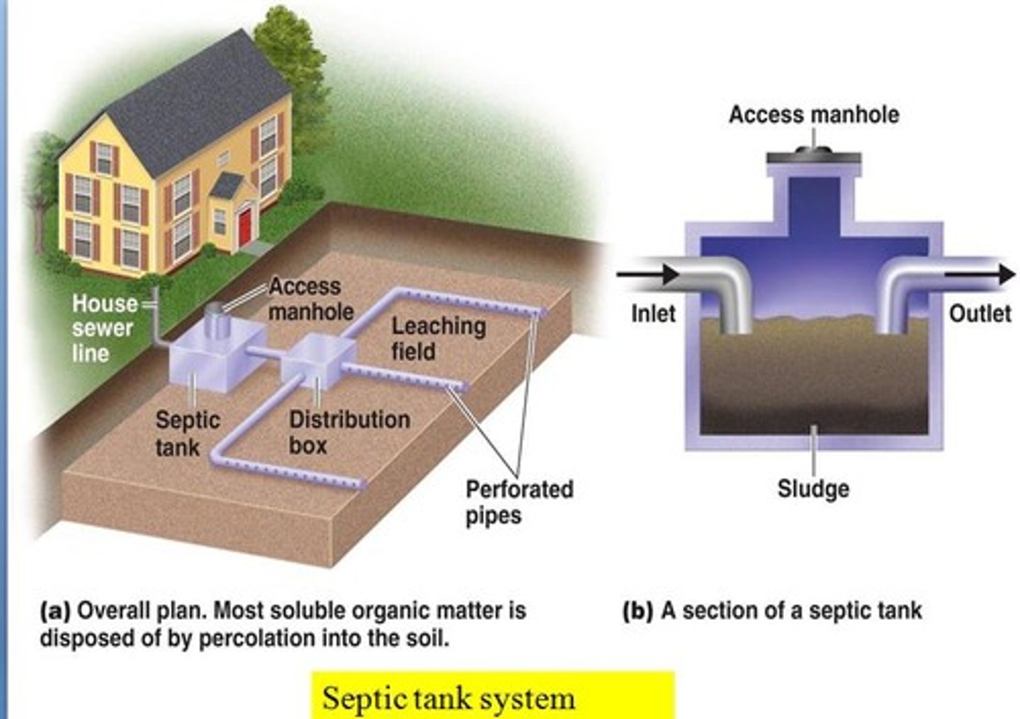 <p>A relatively small and simple sewage treatment system, made up of a septic tank and a leach field, often used for homes in rural areas.</p>