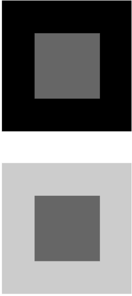 <p>From this image, explain how colour constancy could give rise to illusions.  </p>