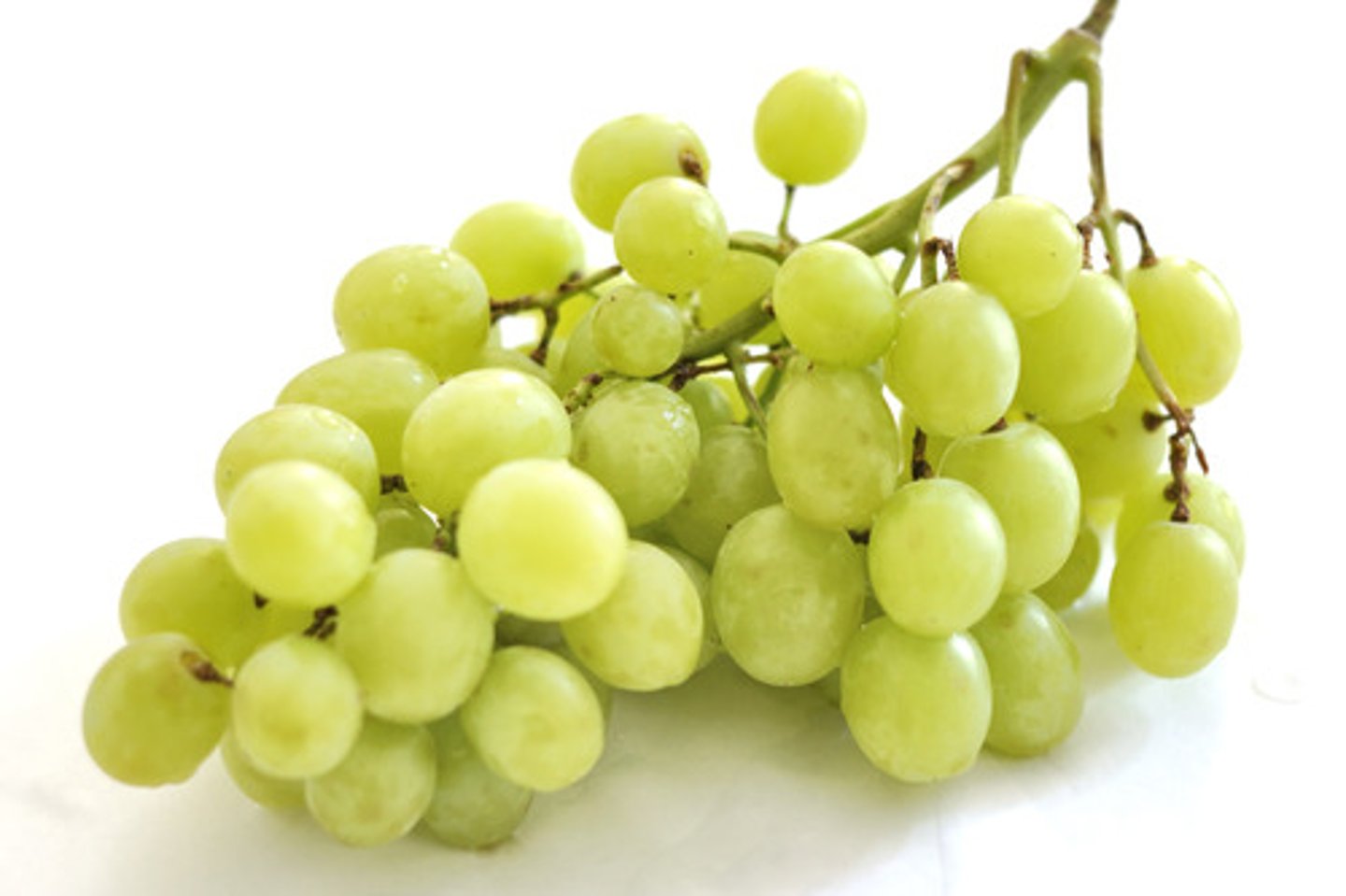 <p>grapes (masc.; collective noun)</p>