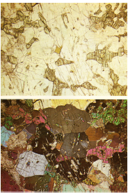 term image