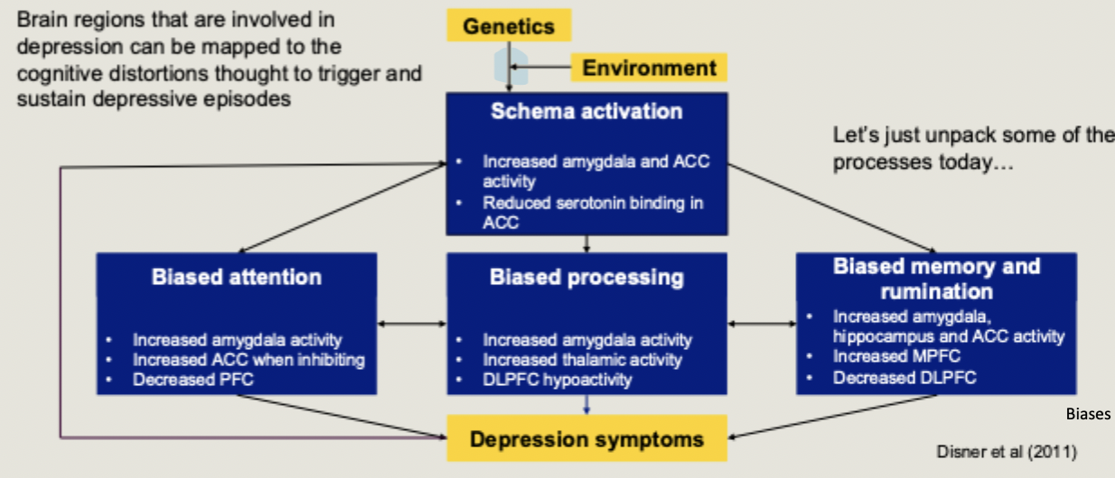 <p>Brain regions that are involved in depression can be mapped to the cognitive distortions though to trigger and sustain depressive episodes</p>