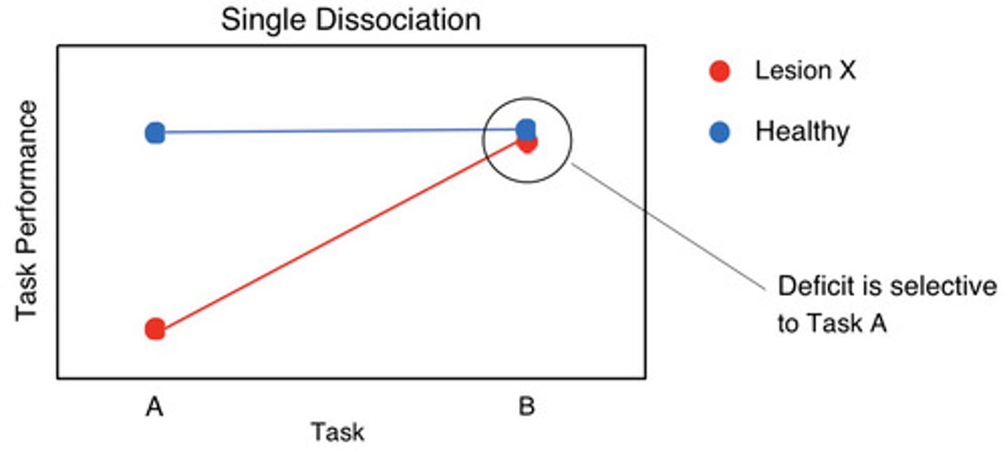 <p>when a patient with damage to region "X" is impaired on a certain task (Task A), but unimpaired on another task (Task B)</p>