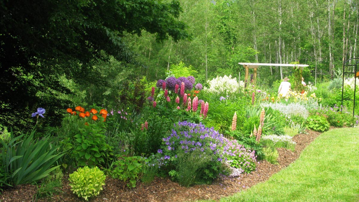 <ul><li><p><span style="background-color: transparent; color: rgb(93, 54, 149);"><strong><span>Shade plants:</span></strong><span> lower saturation point</span></span></p></li><li><p><span style="background-color: transparent; color: rgb(153, 137, 67);"><strong><span>Sun plant: </span></strong><span>higher saturation point</span></span></p></li></ul><p></p>