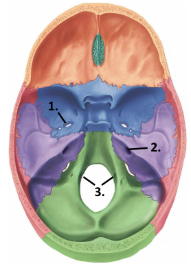 <p>3</p>