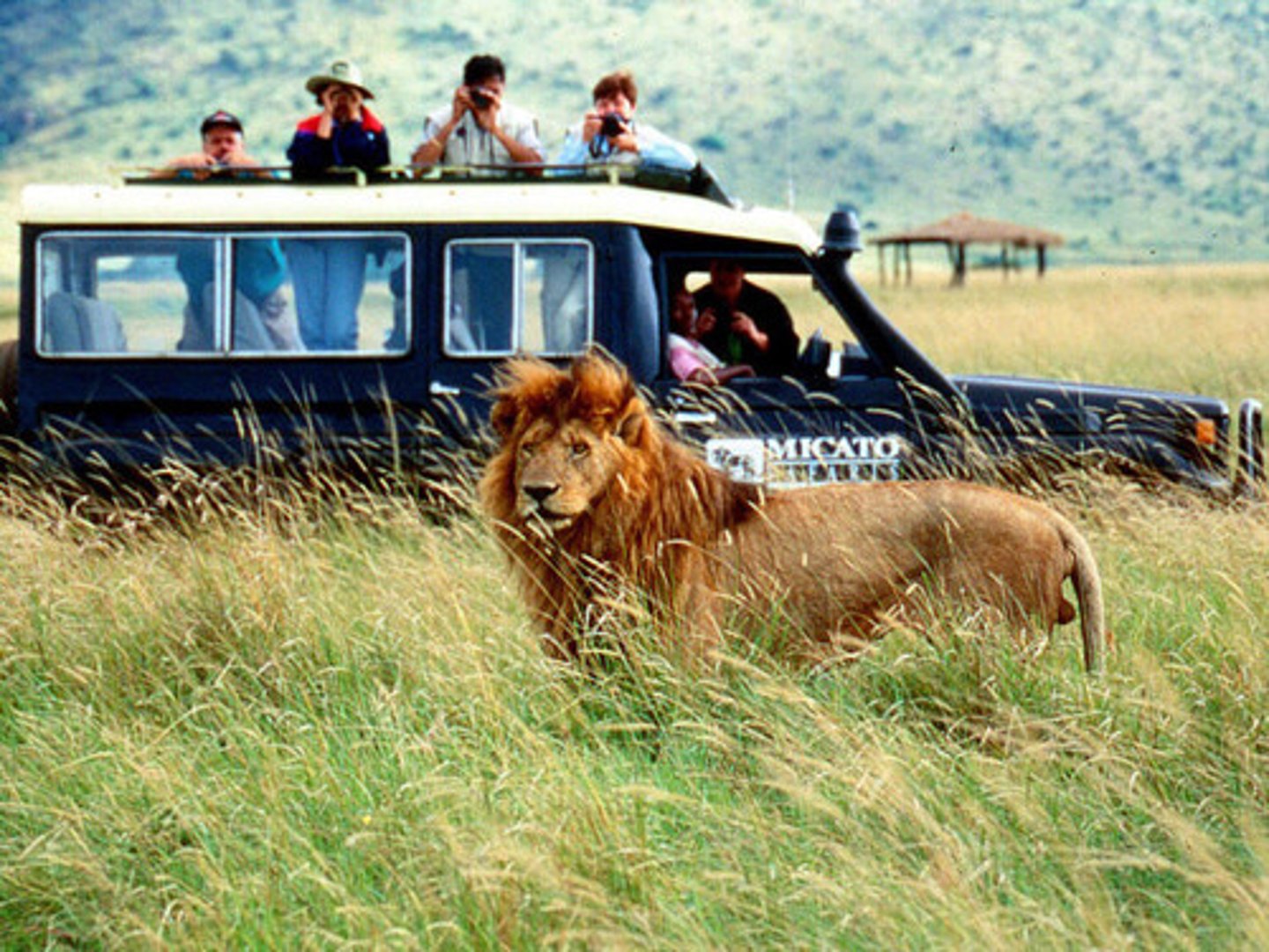 <p>An area of land where wild animals are protected.</p><p>(khu bảo tồn động vật hoang dã)</p><p>= wildlife sanctuary, nature reserve</p><p>(khu bảo tồn thiên nhiên)</p><p>&gt;&lt; hunting ground, unprotected area</p><p>(khu săn bắn, vùng không được bảo vệ)</p>