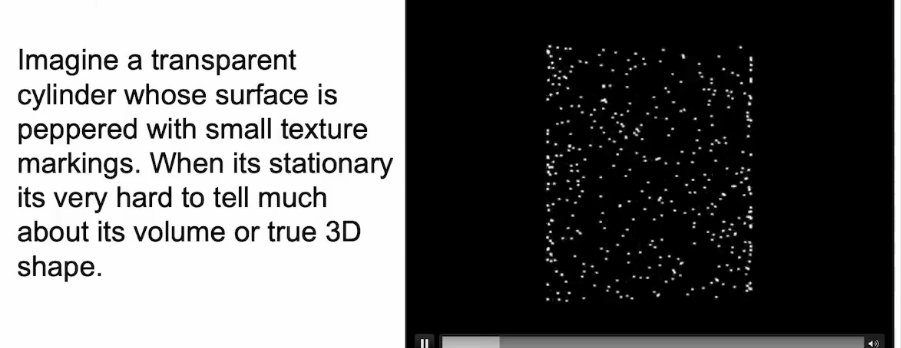 <p>structure from motion</p>