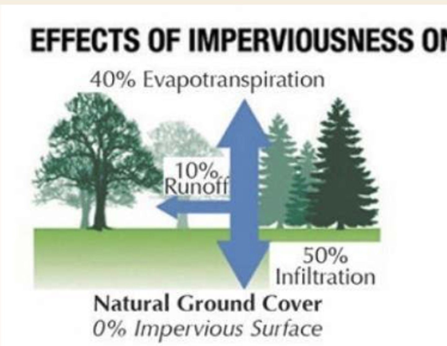 <p>40% evapotranspiration, 10% runoff, 50% infiltration</p>