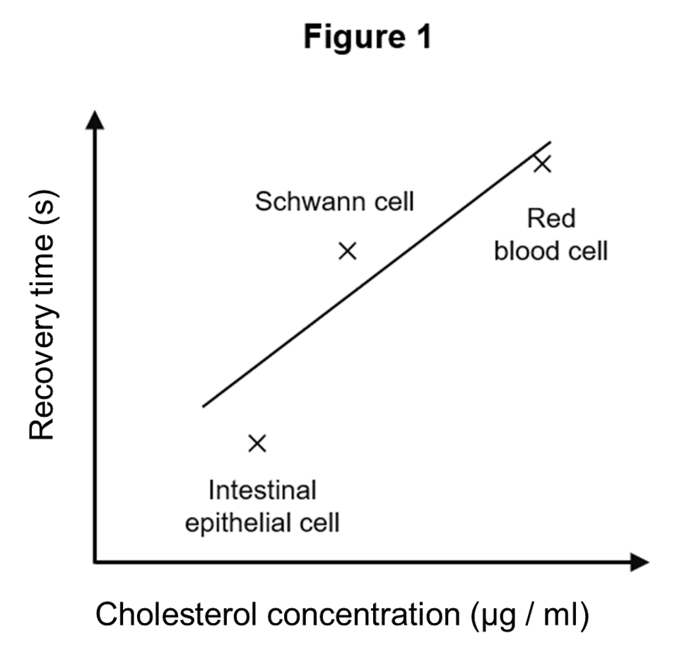 <p>Fluorescence recovery after photobleaching (FRAP) is a laboratory technique for measuring membrane fluidity.  </p><p>Proteins tagged with a fluorescent dye are inserted into a membrane. A selected area of the membrane is ‘bleached’ with a laser, which permanently deactivates the dye molecules in that area and produces a dark patch. The time taken for the dark patch to become fluorescent again is called the recovery time and is a measure of membrane fluidity. </p><p>A scientist conducts FRAP on membranes from three types of animal cells. They plot the recovery times against the concentration of cholesterol in the membranes in Figure 1.</p><p>i) Describe what is meant by membrane fluidity. [1 mark]</p><p> ii) Explain why the bleached area of the membrane becomes fluorescent again after a period of time. [1 mark] </p><p>iii) Describe and explain the relationship between recovery time, membrane fluidity and cholesterol concentration in Figure 1. [3 marks]</p><p> iv) Suggest why cholesterol content is higher in the membranes of red blood cells than gut epithelial cells. [2 marks] </p><p>v) State one variable that should be kept constant during the experiment and explain your answer. [2 marks]</p><p></p>