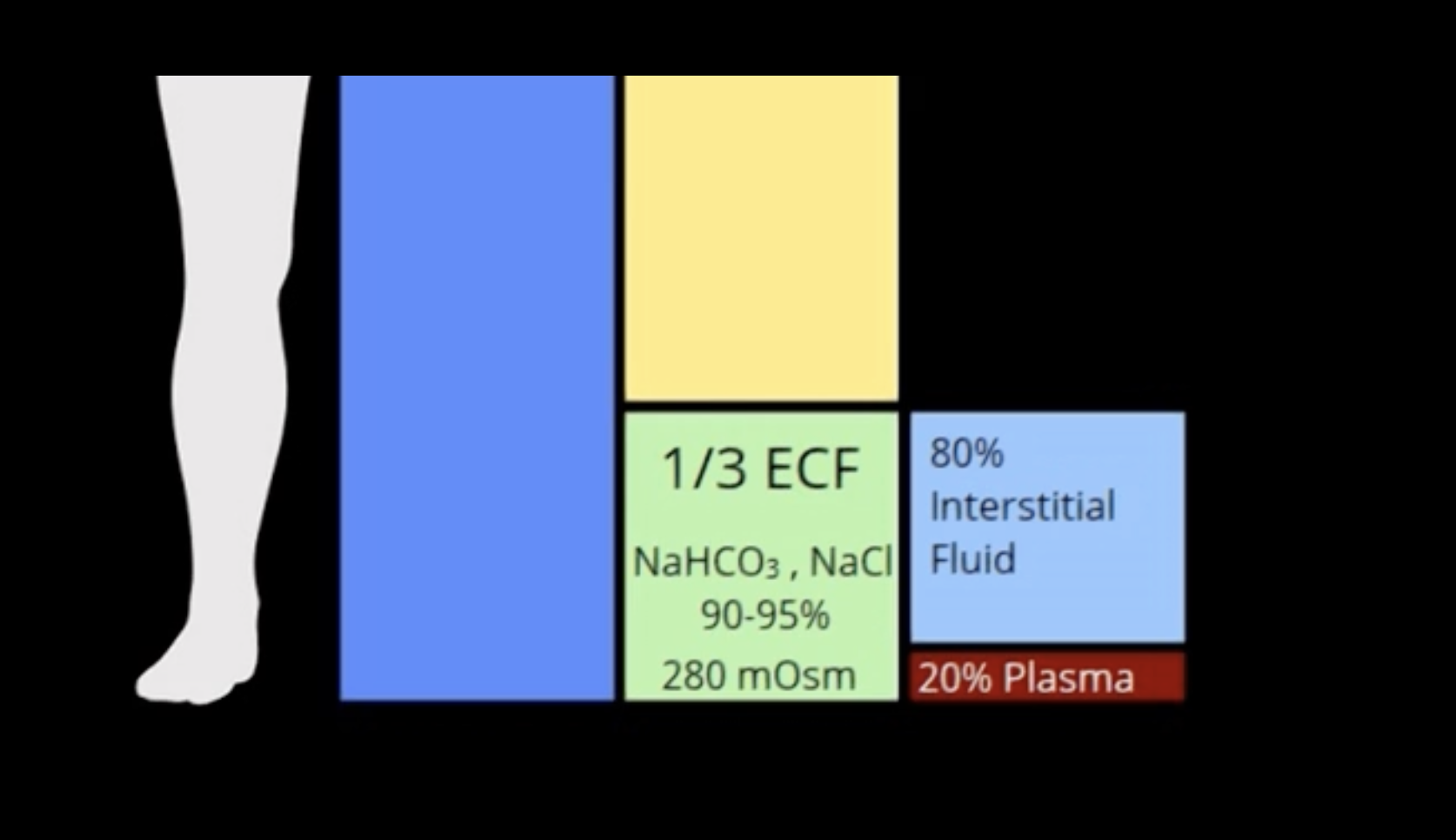 <p> accounting of 90-95% of all extracellular solutes and 280 mOsm of 300 mOsm ECF concentration</p>