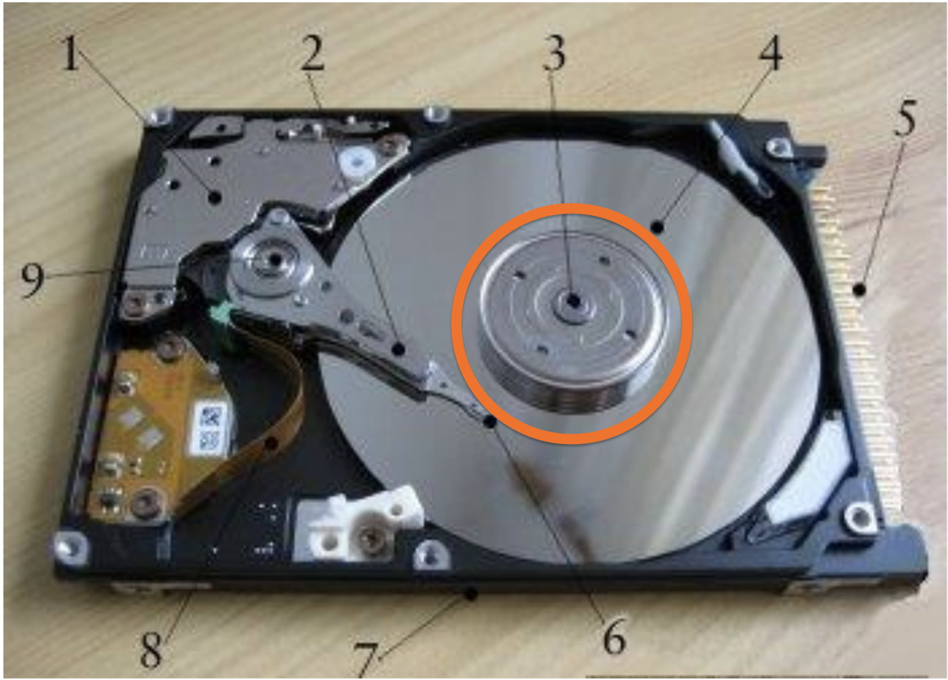 knowt flashcard image