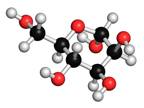 <p>A. lipid B. nucleic acid C. protein D. carbohydrate</p><p>what molecule is this?</p>