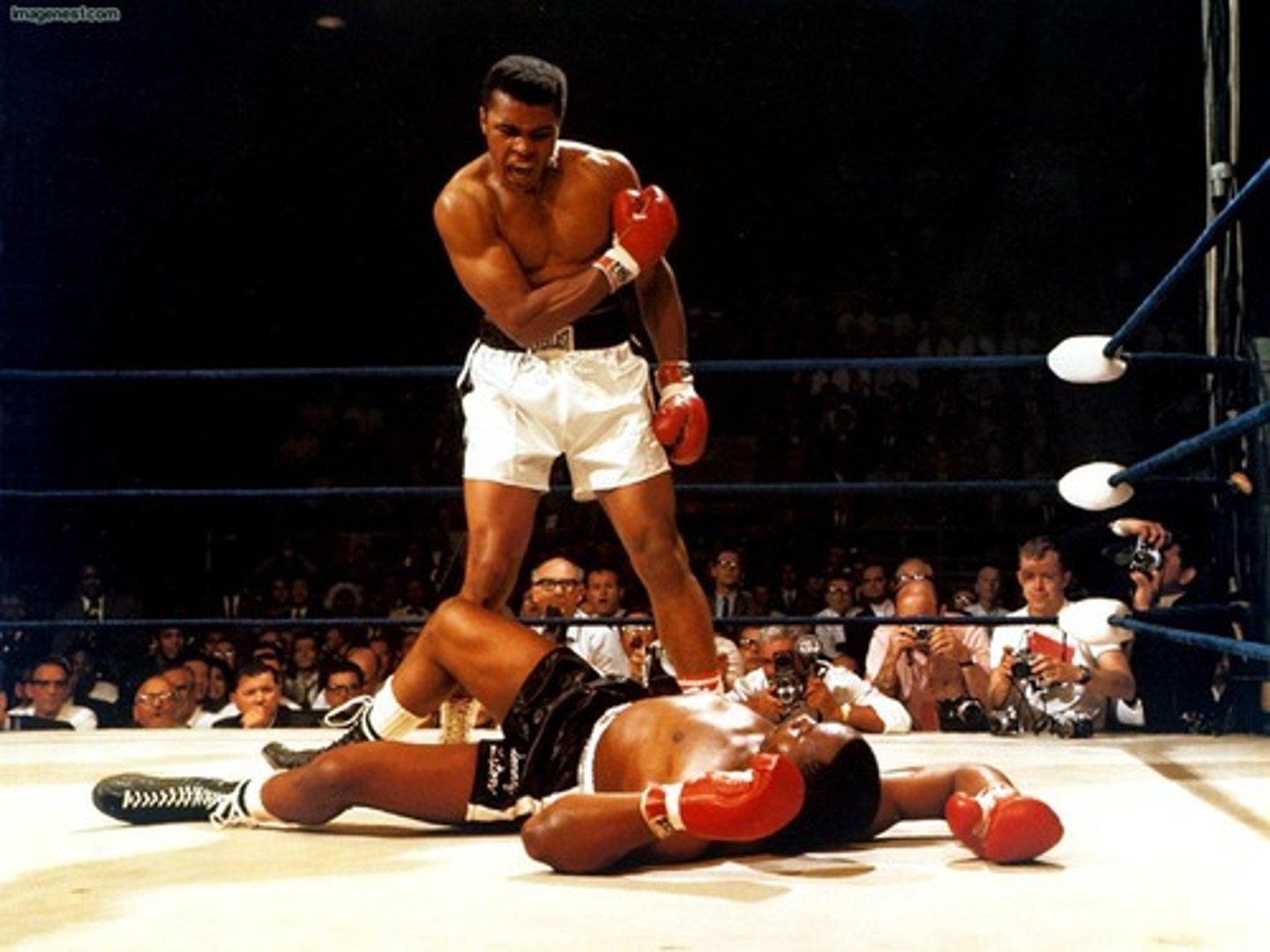 <p>to defeat</p>