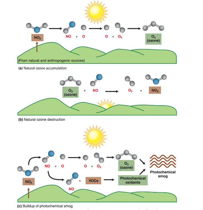 <p>Forms when solar ultraviolet radiation interacts with an atmosphere polluted by hydrocarbons and nitrogen oxides. Nitrogen oxides and VOC’s mix and this is where it becomes a problem.</p><ul><li><p>Brown smog</p></li></ul><p></p>