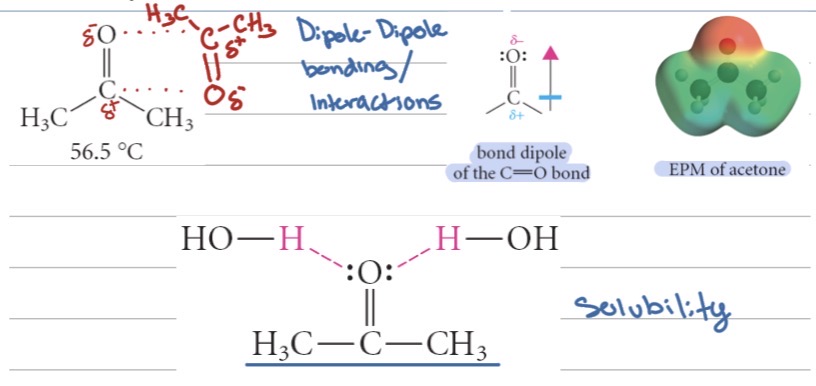 <ul><li><p>They are liquids</p></li><li><p>The polar carbonyl group (C=O) creates dipole–dipole interactions between molecules</p></li><li><p>They cannot form hydrogen bonds with each other (no –OH group)</p></li></ul><p></p>