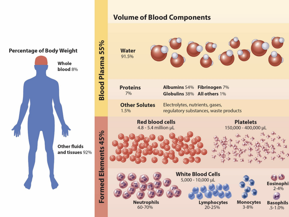 <p><strong>blood components </strong></p><ul><li><p>______</p><ul><li><p>erythrocytes (RBCs)</p></li><li><p>thrombocytes (platelets)</p></li><li><p>leukocuytes (WBCs)</p></li></ul></li></ul><p></p>