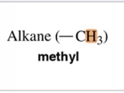 <p>Methyl</p>