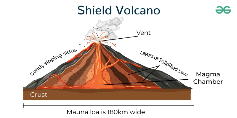 <p>Broad, gently sloping structures formed by low-viscosity lava (e.g., Mauna Loa).</p>