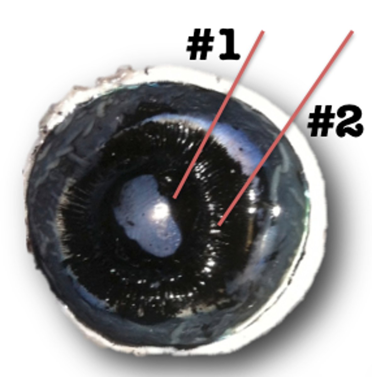 <p>adjust shape of lens</p>