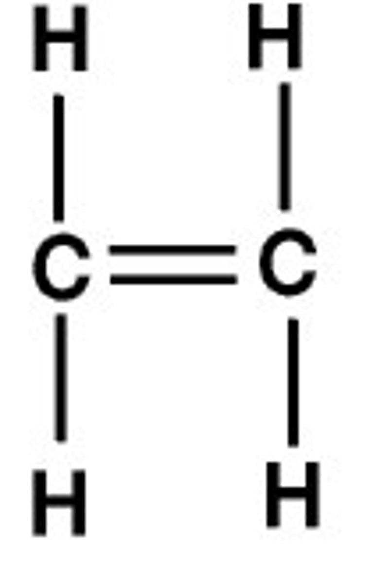 <p>a hydrocarbon that contains one or more double or triple bonds</p>