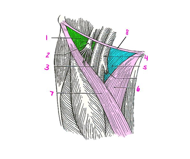 <p>6</p>