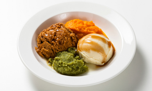 <p>What foods are safe for a pureed diet?</p>