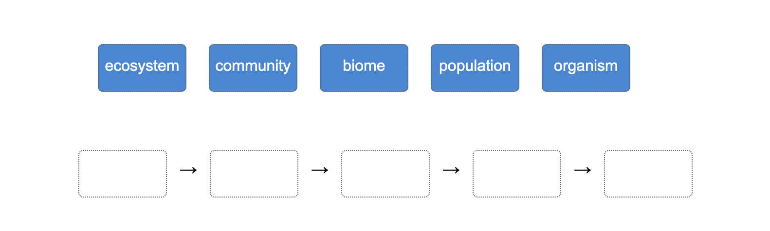 <p>The levels of organization of the biosphere are shown below, but they are not in the correct order. Arrange the tiles in order of most specific level to broadest level.</p>