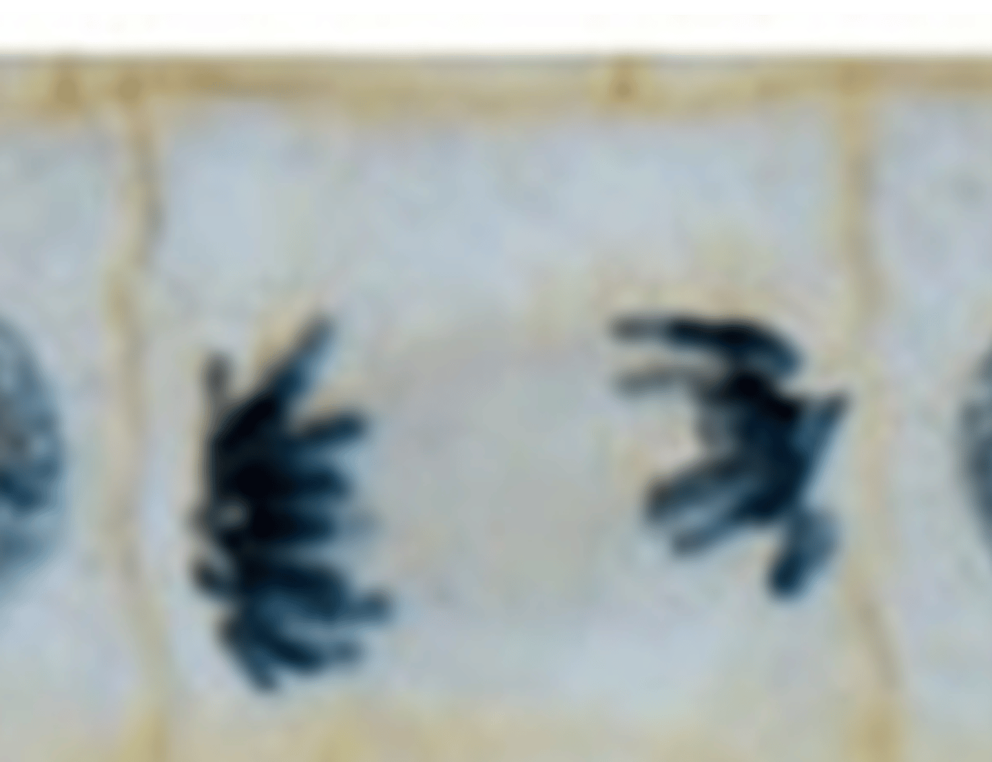 <p>Chromosomes are at poles and decondensing, New cell wall is forming at midline of cell.</p>