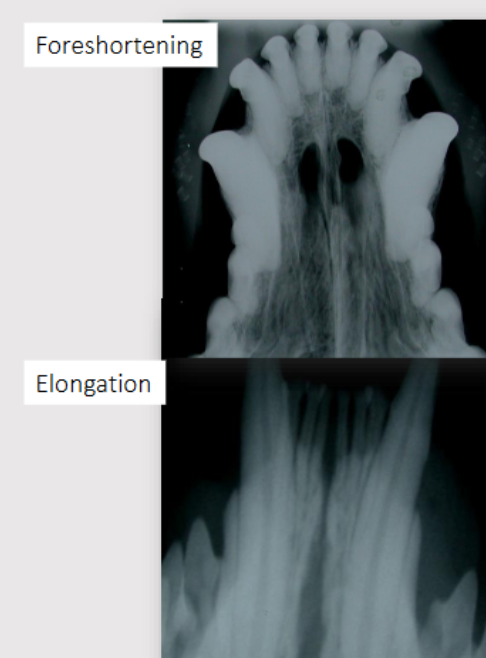 <p>Better to be more vertical than horizontal to avoid elongation</p>
