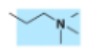 <p>What membrane lipid has this head group?</p>